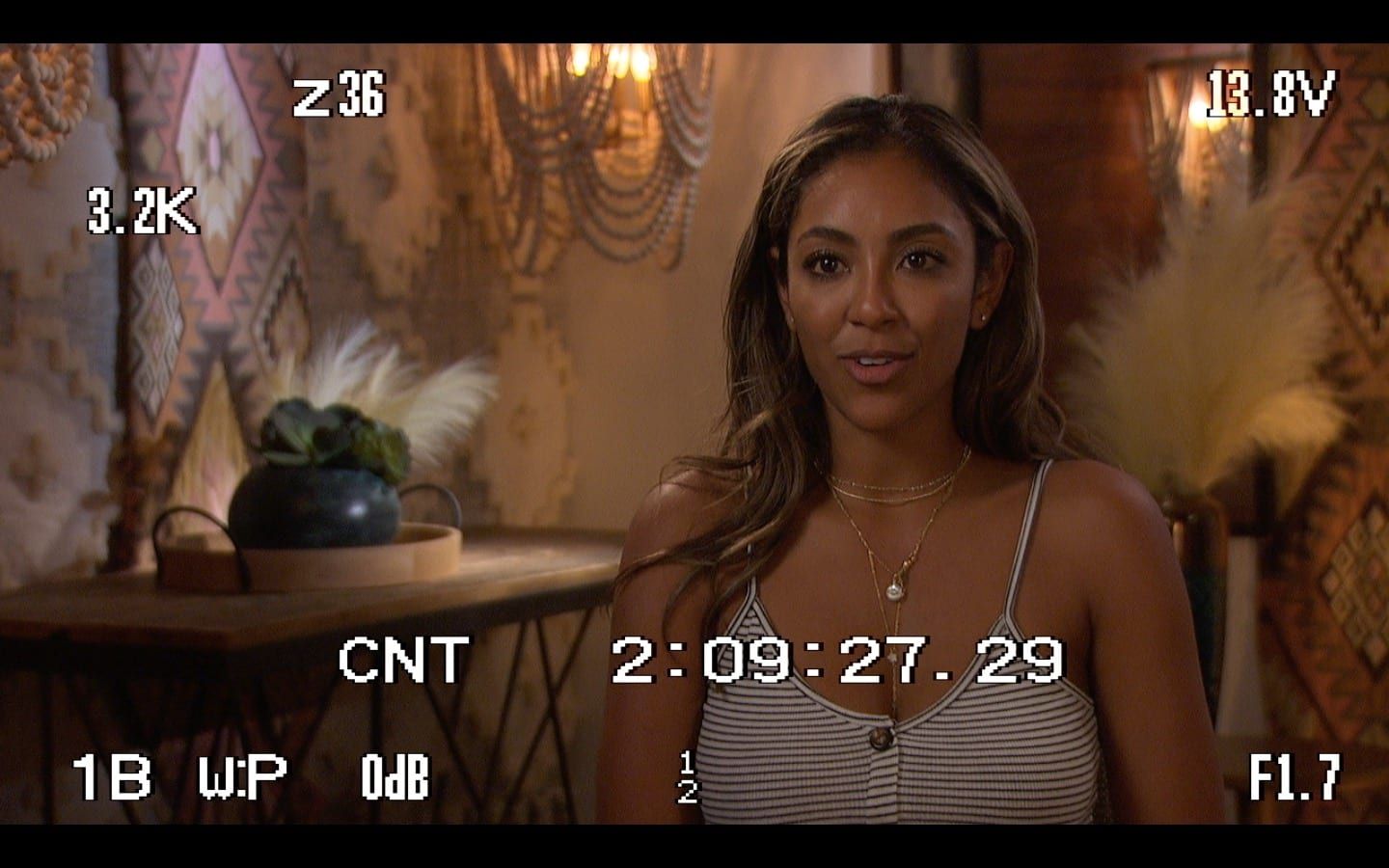 Interviews & Reunions set by Carly Panice